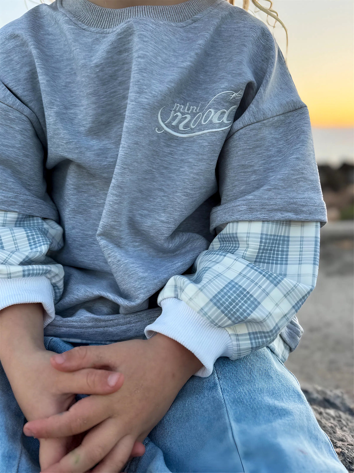 Cloud Check Jumper